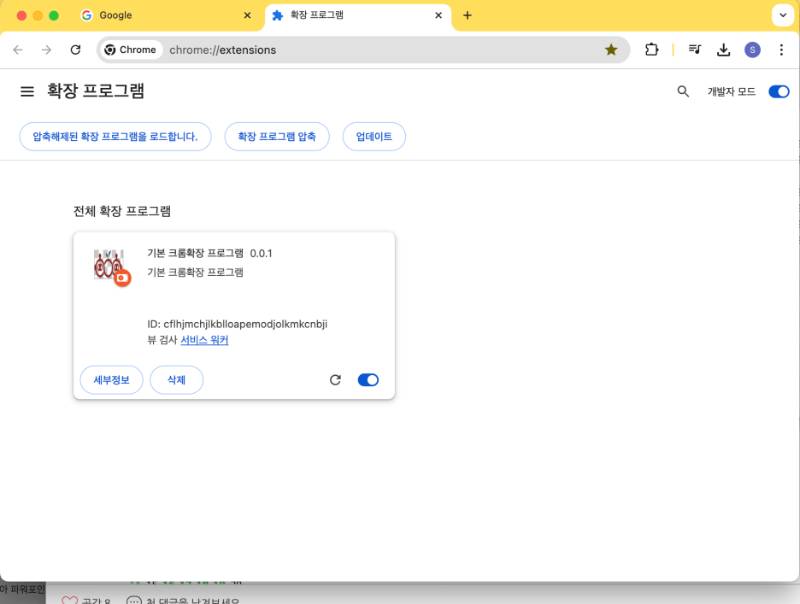 설치된 확장 프로그램